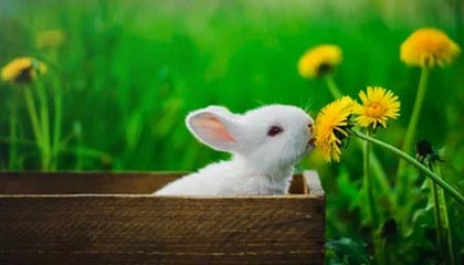 中国国少明年4月出战亚少 时间待定参赛年龄有变